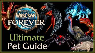 WoW Forever: ULTIMATE Hunter Pet Guide — PvE, PvP & Leveling Explained