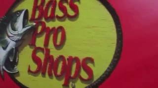 BPS Logo 2