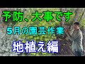 [ガーデニング] 園芸12ヵ月～5月の園芸作業 地植え編 「キャリア29年のプロガーデナーが毎月行う園芸作業」