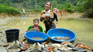 Harvest a giant fish pond to sell at the market - Cook a warm meal together with your children