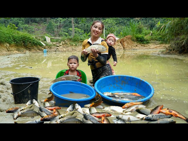 Harvest a giant fish pond to sell at the market - Cook a warm meal together with your children class=