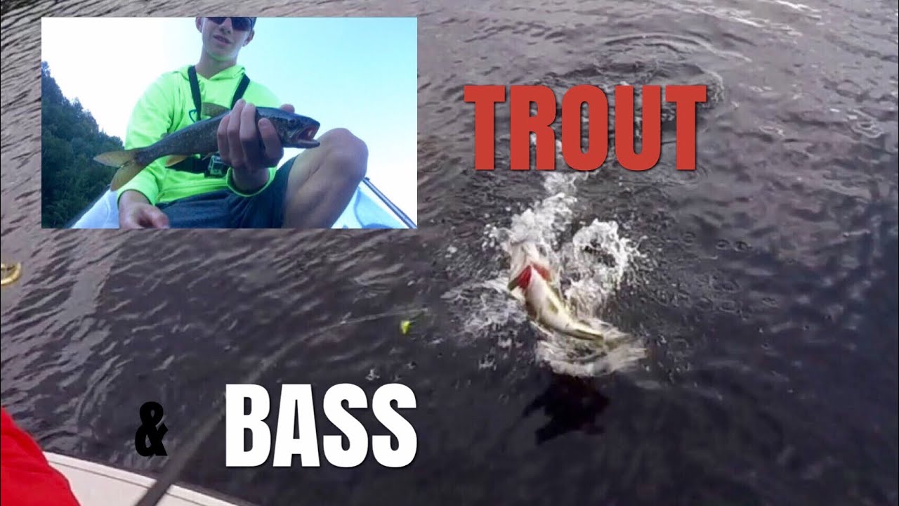 Bass and Trout Fishing at my Cottage YouTube