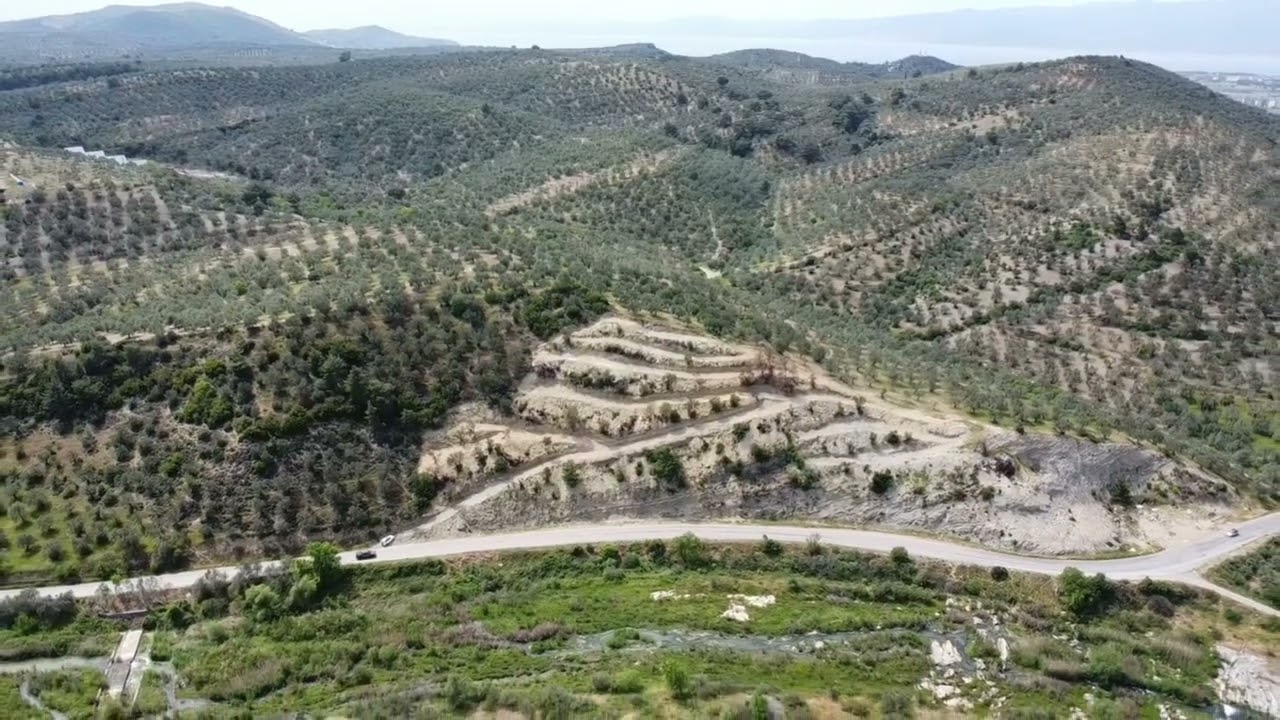 BALIKESİR BURHANİYE ŞARKÖY ZEYTİNLİK