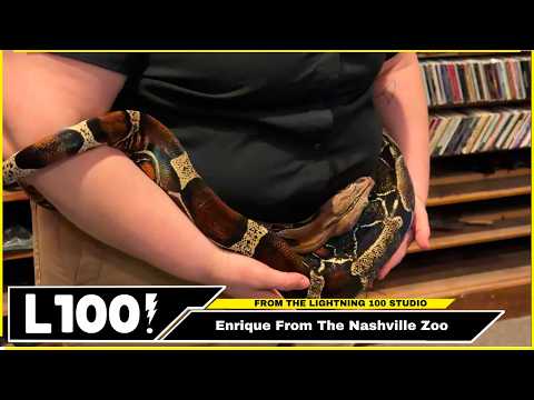 Enrique and The Nashville Zoo Talk About Sips For Species - Live From Lightning 100
