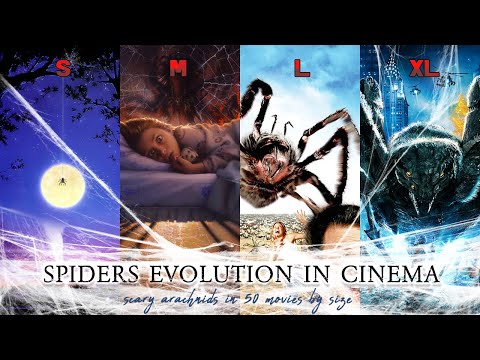 Spiders Evolution In Cinema Scary Arachnids In 50 Movies By Size