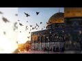انا اسمي انا اسمي القدس