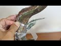 How to change the leaves 真柏の衣替え