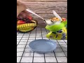 Video Image