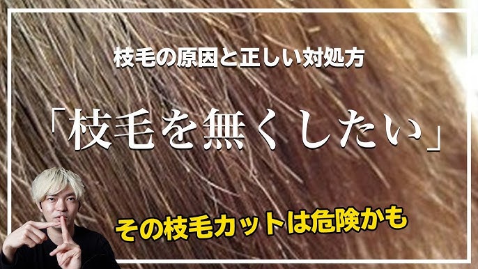 枝毛を無くしていくために出来ること 枝毛カットは危険かも Youtube 枝毛を無くしていくために出来ること 枝毛カットは危険かも Youtube