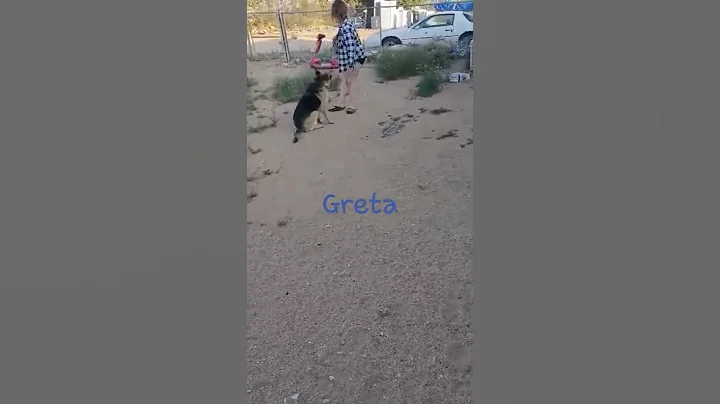 Greta