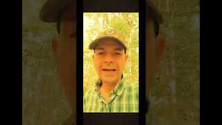 How To Find Ginseng-Part 1