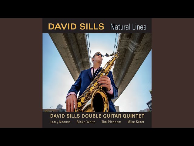 DAVID SILLS DOUBLE GUITAR QUINTET - Interplay
