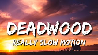 Really Slow Motion - Deadwood (Epic Dark Rock Action) Resimi