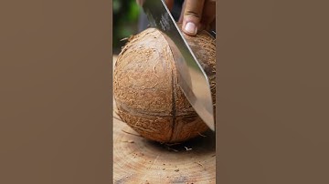 “ASMR Cutting Open an Old Coconut 🥥 | Satisfying Close-Up”#shorts #asmr #ai #fruits