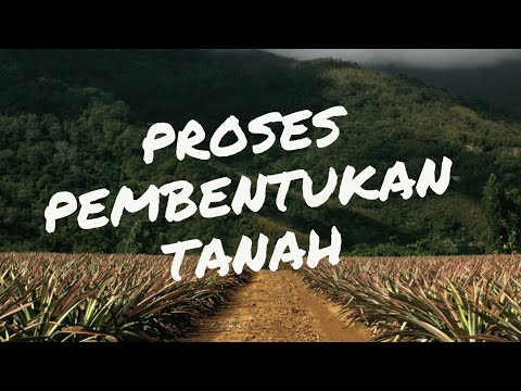 Video: Bagaimana tanah terbentuk?