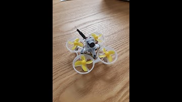 Beebrain V2 Acrobee