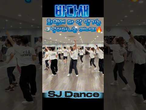 바다새 Remix | 에어로빅 | 다이어트 댄스 | 몸풀이댄스 | 이지댄스 | 수업영상 | 춤추고 살빼자! 🔥| KM&EY댄스 [거울모드]