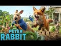 AGASOBANUYE PETER RABBIT PART 1 FULL MOVIE 