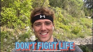 Don't Fight Life
