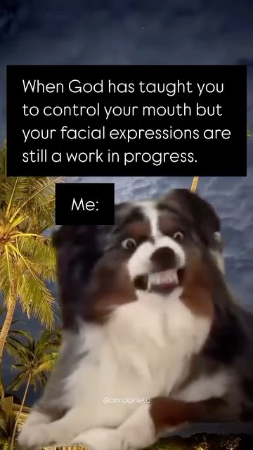 Do face expressions count?😅🫣 - YouTube