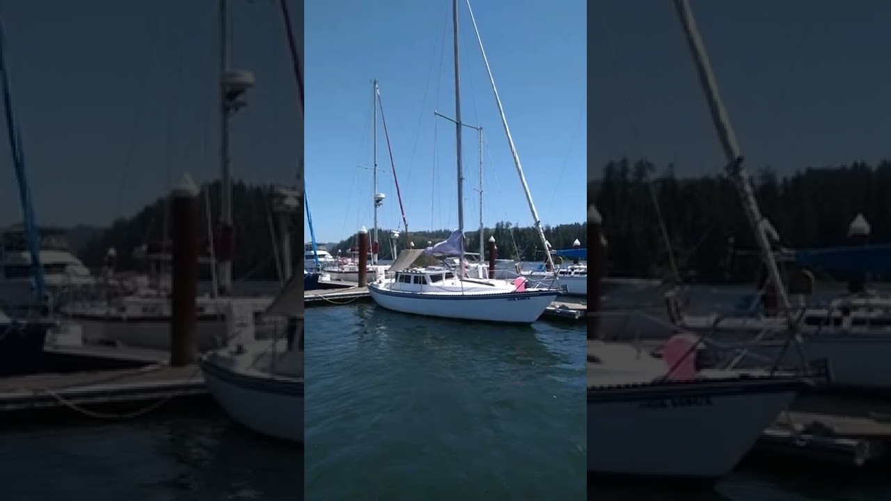 Sailboats  ⛵. Siuslaw River. 