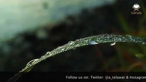 آيات - ﴿أَلَمْ تَرَوْا كَيْفَ خَلَقَ اللَّهُ سَبْعَ سَمَاوَاتٍ طِبَاقًا﴾