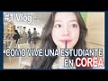 [ Vlog ] Como vive una estudiante en Corea