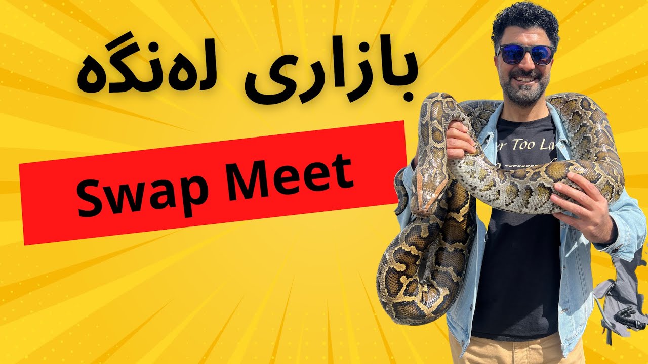 Swap Meet // بازاری لەنگەی ئەمەریكا