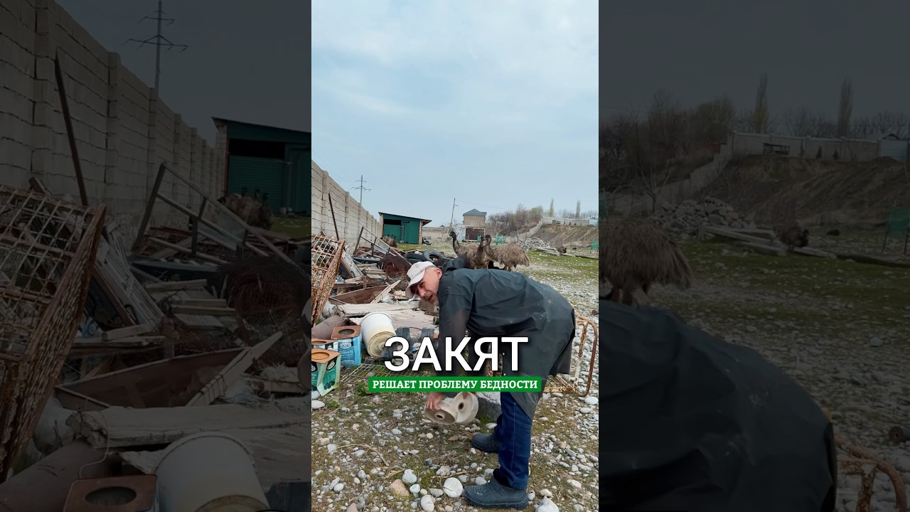 Порно Помогает Брату Трахнуть Порно Помогает Брату Трахнуть
