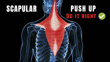 How to do Scapular PUSH UPS