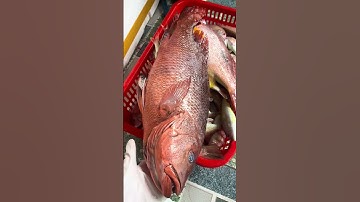 Niềm vui của người dân ở biển #food #dacsanmientrung #amthuc #quangngai #monngon #hanhtoi #xuhuong