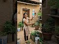 છોડ માટે બનાવો બેસ્ટ દેશી જુગાડ! | Drip Irrigation System from Waste Bottle 🪴