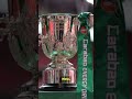 Difference Between Fa Cup And Carabao Cup Football Cup Trophy