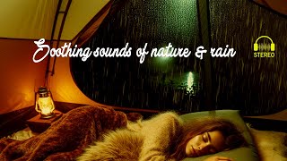 Cozy Rainy Tent Vibes: Relaxing ASMR Rain Sounds and Serene Ambience, nature, Rain Sound