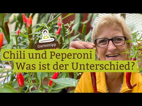 Was ist der Unterschied zwischen Chili und Peperoni?