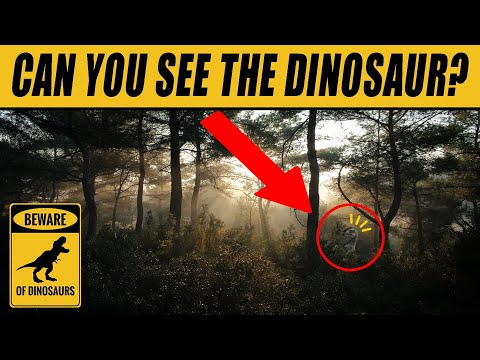 Find the Hidden