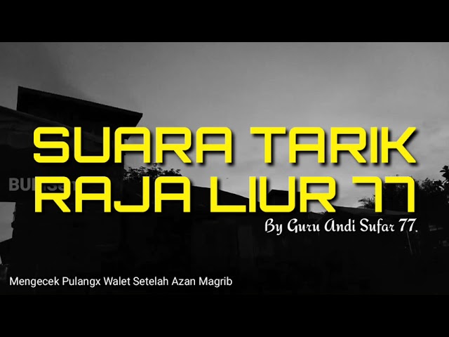 SUARA TARIK RAJA LIUR 77 || By GURU ANDI SUFAR 77 class=