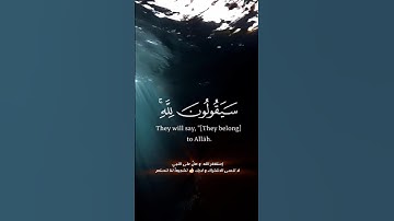 اكتب شيء تؤجر عليه ❤😴 آيات عظيمة تهز القلوب 🎧تلاوة خاشعة سورة المؤمنون بصوت يأسر القلوبQuran الدوسري
