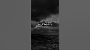 تلاوة تريح القلوب بصوت (مشاريالبغلي)