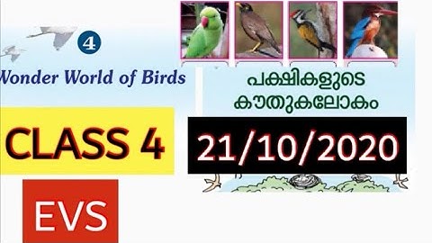 CLASS 4 EVS WORKSHEET/OCTOBER 21/ENGLISH AND MALAYALAM