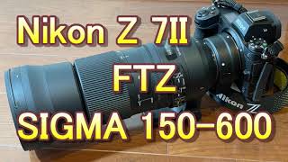 Nikon Z 7II +FTZ+ SIGMA 150-600mm C（Eng Sub） - YouTube