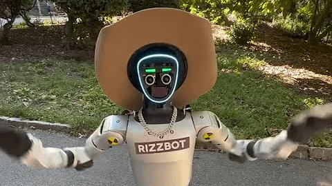 Rizzbot Compilation