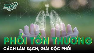 Cách Làm Sạch, Giải Độc Phổi Nên Thực Hiện Càng Sớm Càng Tốt |SKĐS