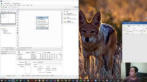 Como Crear un Diagrama Modelo Entidad Relacion - mySQL workbench