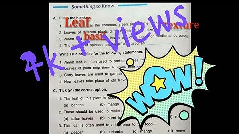 Dav class 3 Ch-3 Science (Leaf) part-4