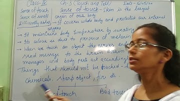 Class 4th EVS chapter 3rd (Touch and Tell)
