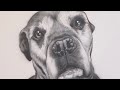 Lets Airbrush a Dog Portrait (RiP Chunky)