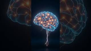 Neurocalm Triggers: A Gentle Conversation For Deep Relaxation