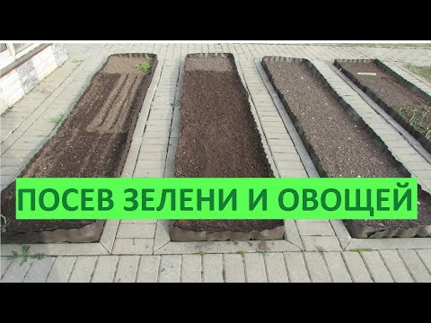 Посев зелени и овощей в апреле в открытый грунт 2019 | Про Сад с Любовью