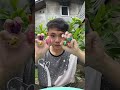 bakar permen viral keluar cacing - tiktok Susanto Gouw #shorts